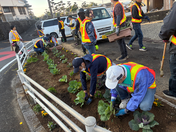 20251117 本社通り花植え作業