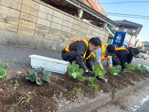 20251117 本社通り花植え作業2